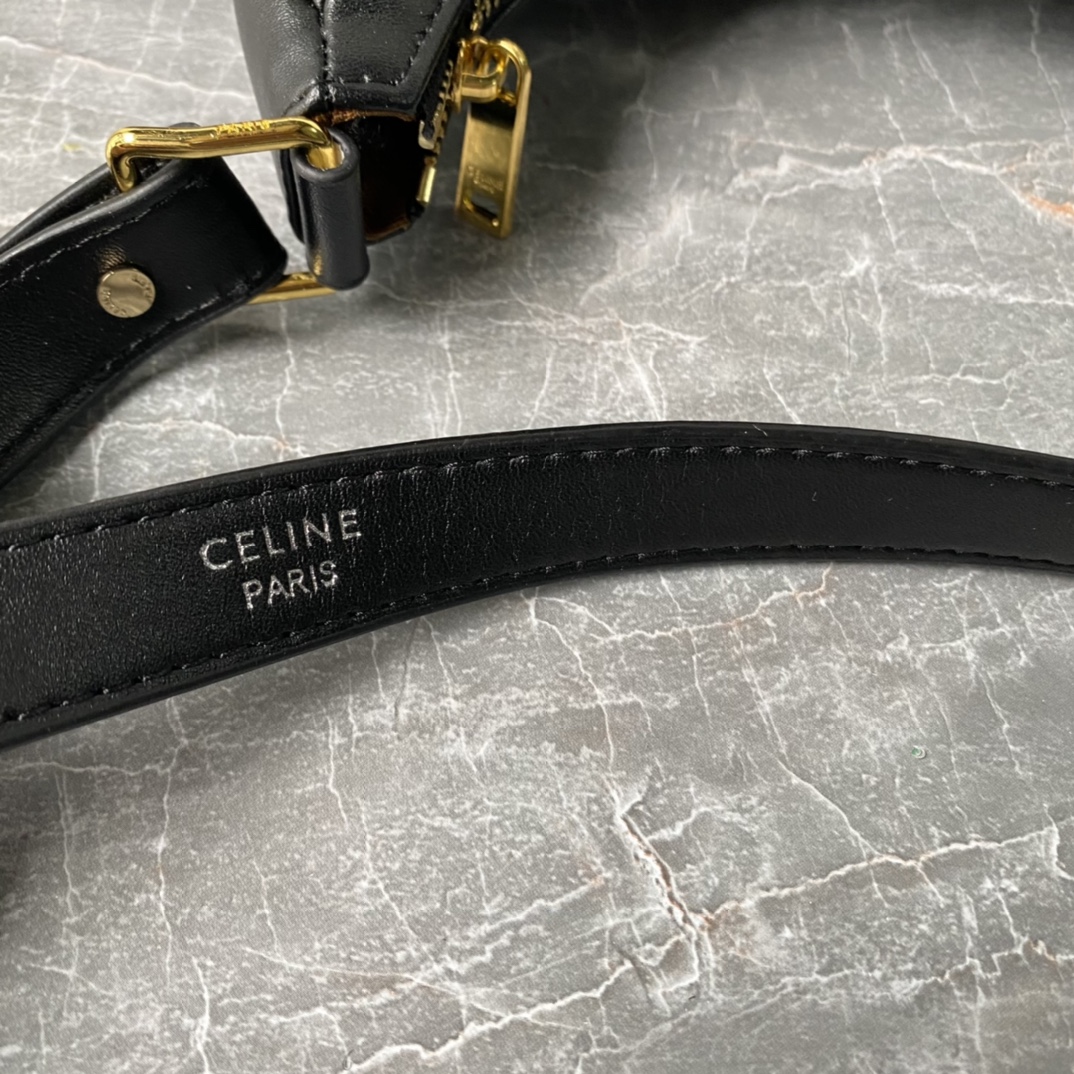 Celine Hobo Bags